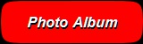 Over 300 pictures