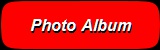 Over 300 pictures